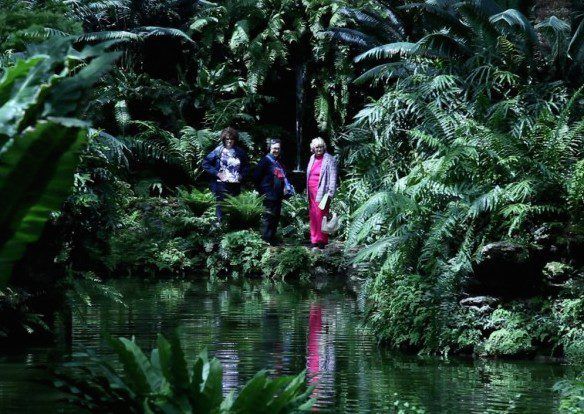 VIDEONALE.15 – FESTIVAL OF CONTEMPORARY VIDEO ART: THE CALL OF THE WILD
