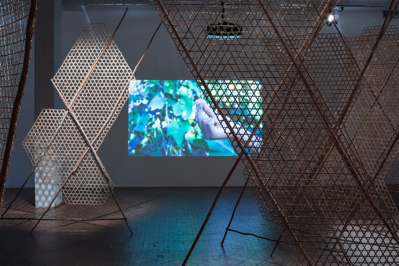 “When Crossing the Tropics, Modernity Begins to Sweat”