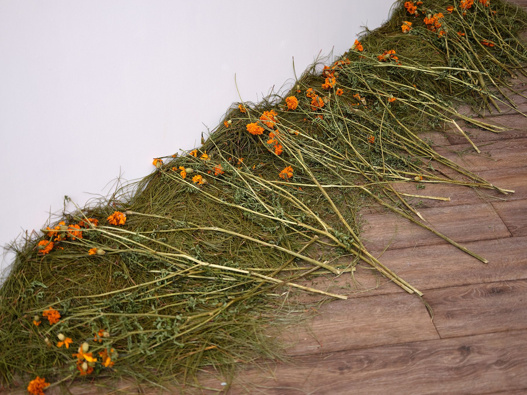 A diagonal border of dried green foliage and orange flowers on a wood floor next to a white wall.