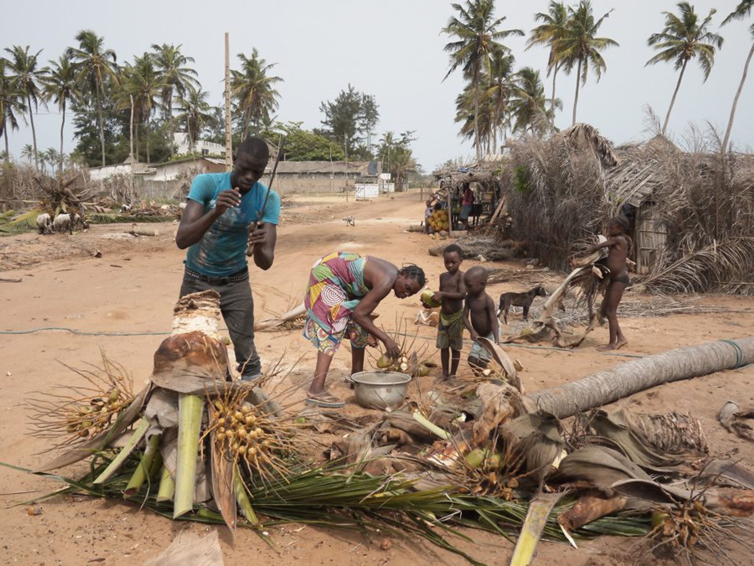 La Route des Pêches a besoin de toi! - You are needed to shape the future of Benin’s precious coastline