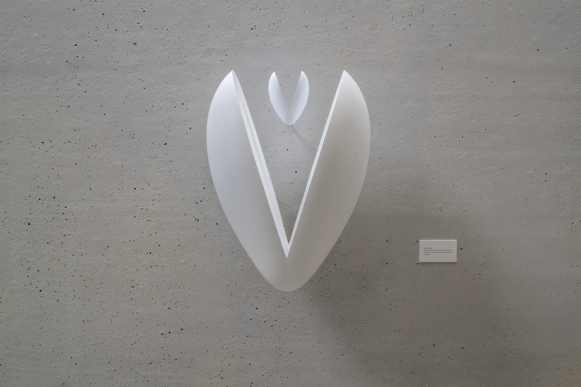 Iman Issa _ _ _ Proxies, with a Life of Their Own