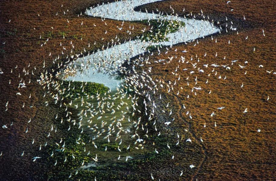 George Love: além do tempo