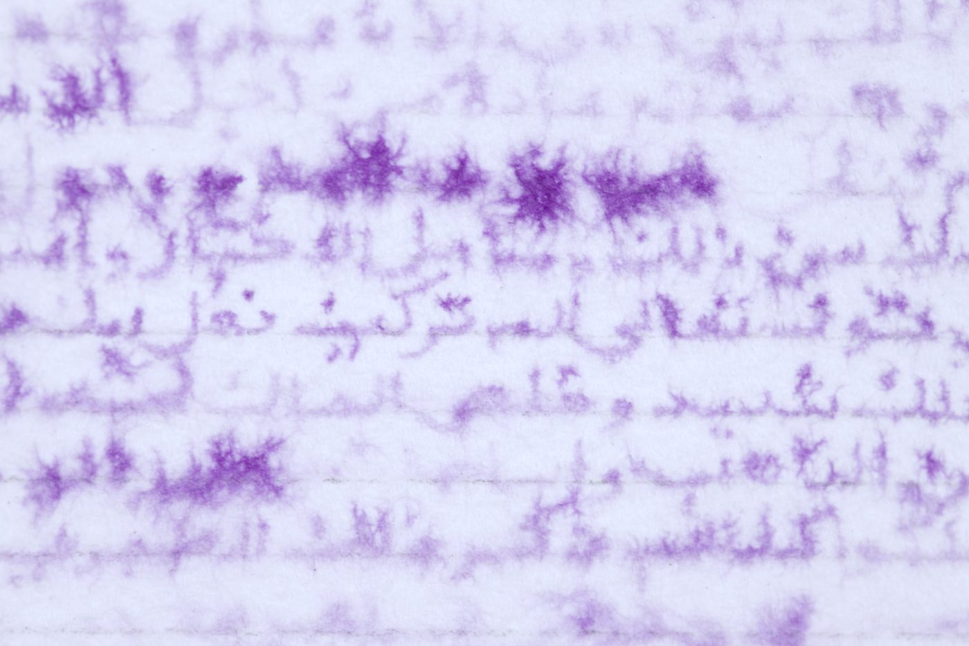 Creating Art Archives. Once Upon a Time, Once Upon a Future Within a Contemporary African Context