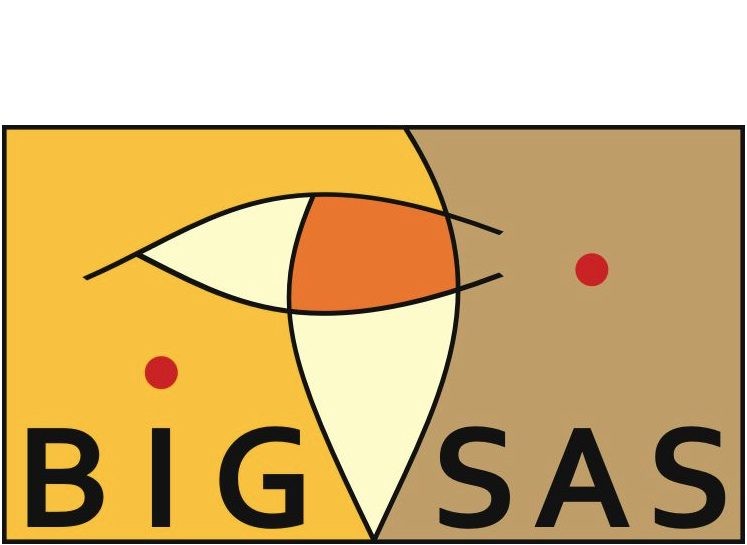 Scholarships: Bayreuth International Graduate School of African Studies (BIGSAS)