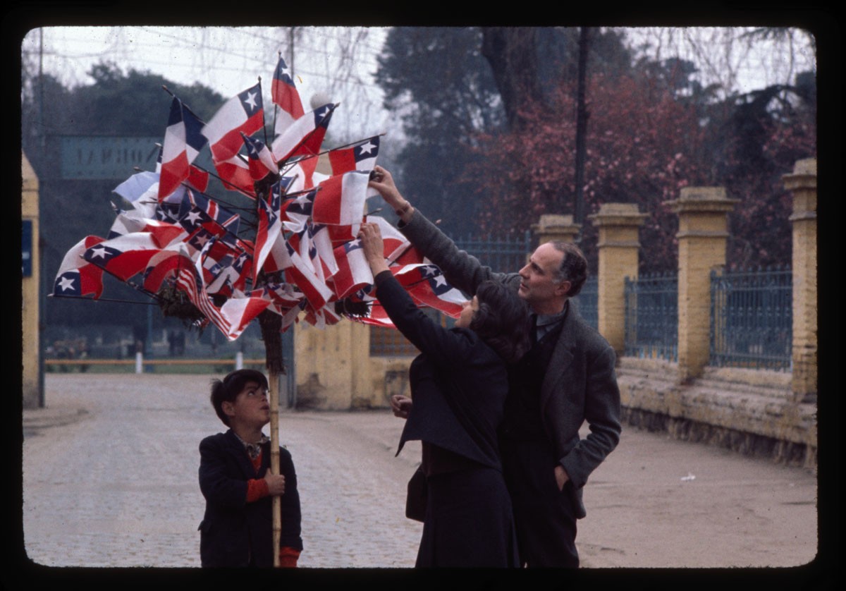 Nemesio Antúnez Panamericano