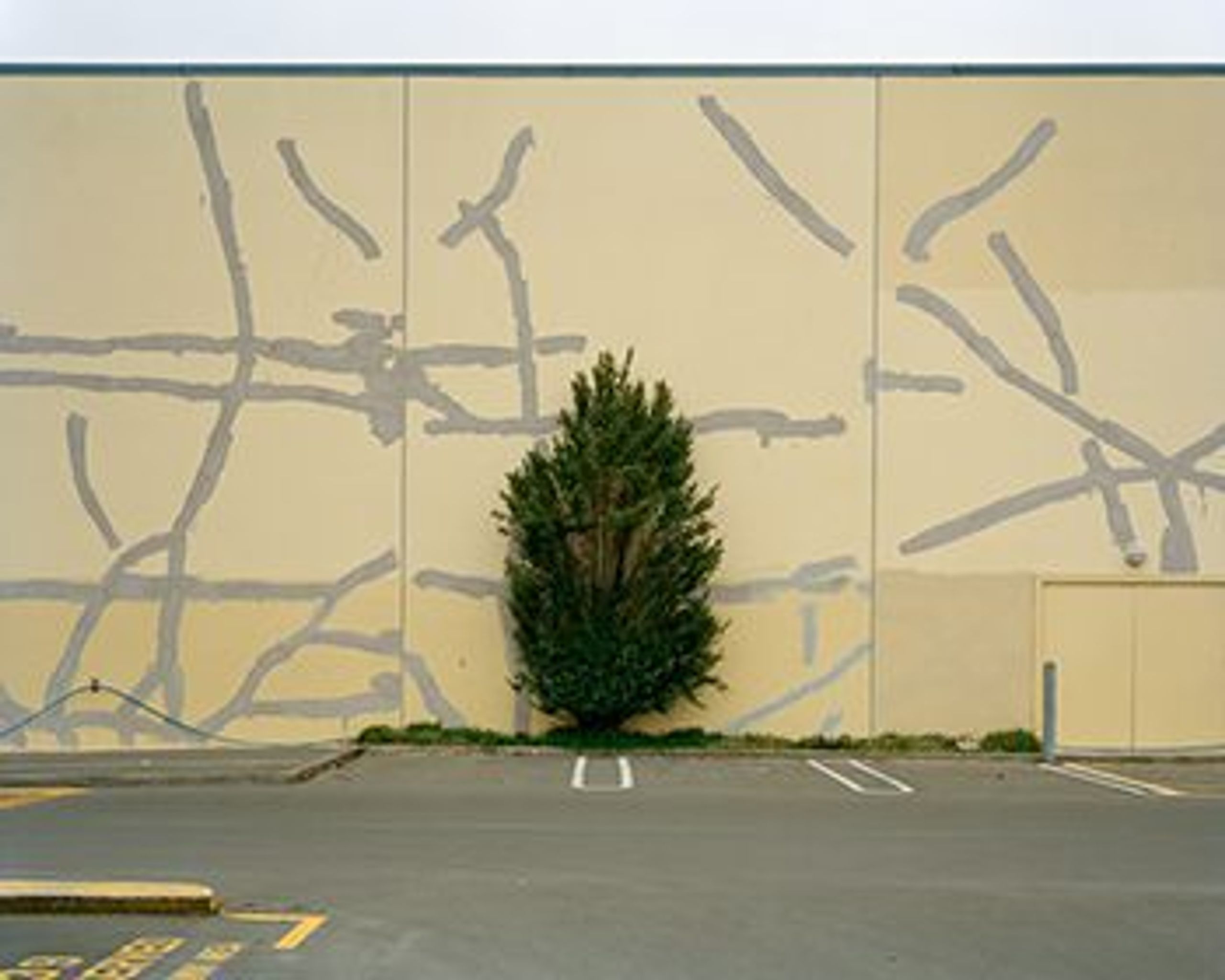 Curating under pressure: A symposium on the ethics of curating