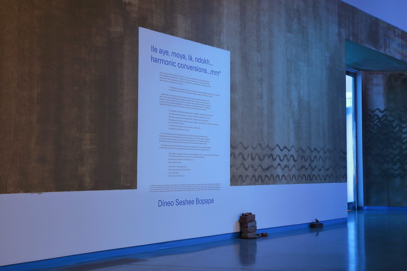 Dineo Seshee Bopape, Installation view. Courtesy of the artist and the Institute for Contemporary Art at VCU.