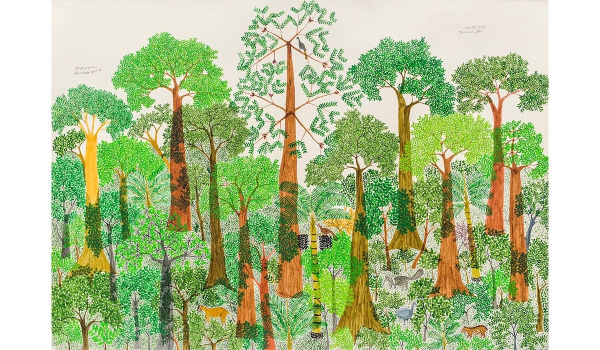 Abel Rodríguez: The Namer of Plants