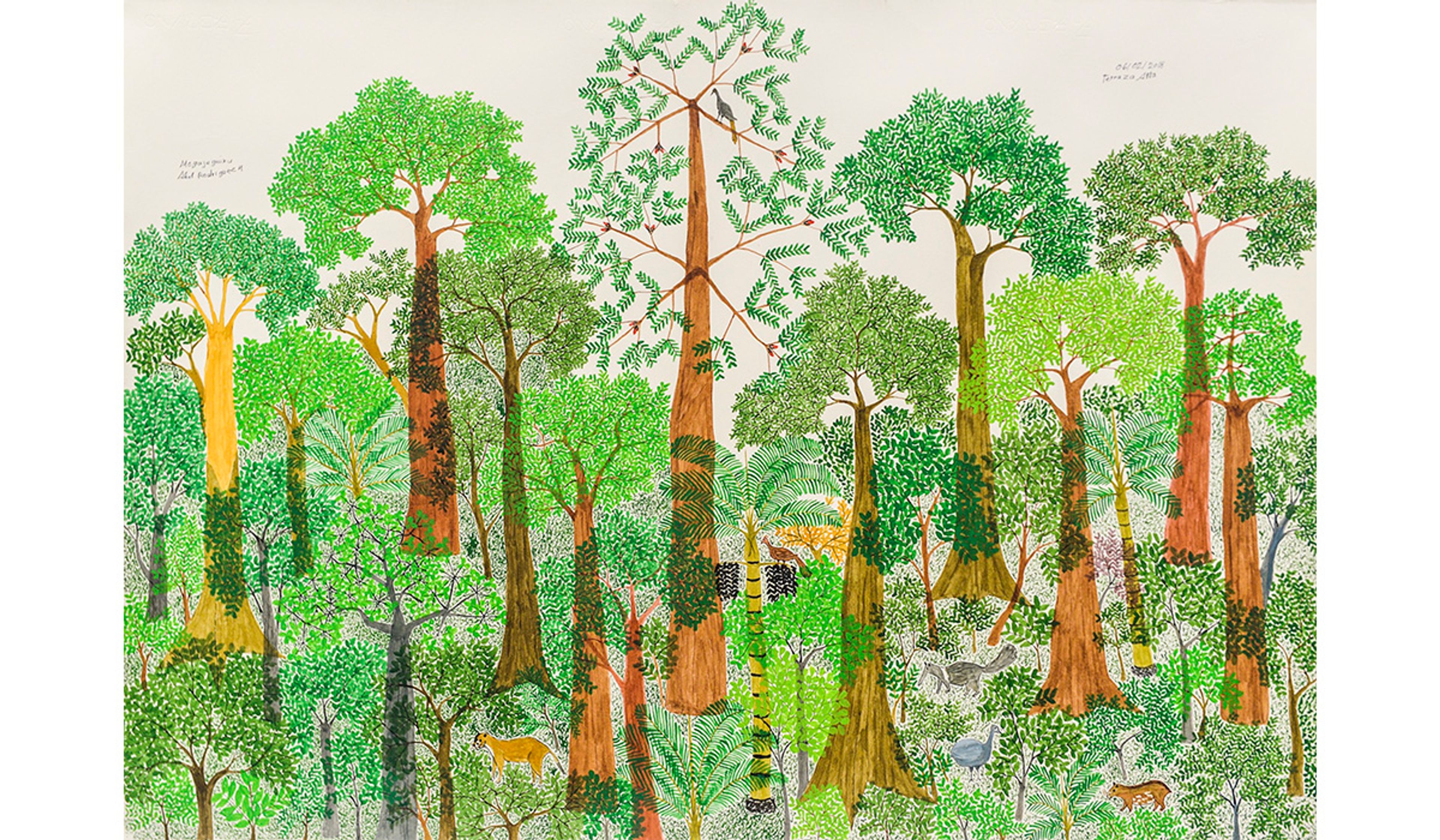 Abel Rodríguez: The Namer of Plants