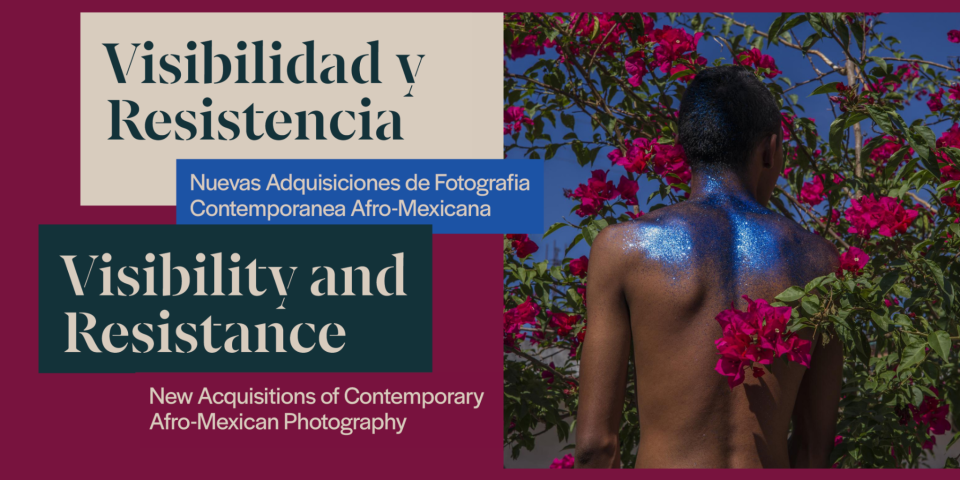 Visibilidad y Resistencia