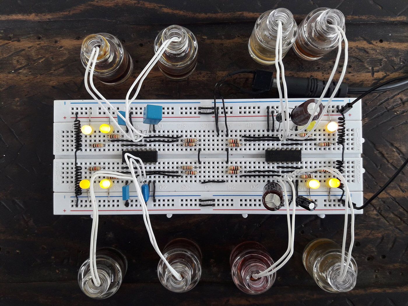 Oscilador Fitológico (Phytological Oscillator). Photo: Negalê Jones. Courtesy of the artist.