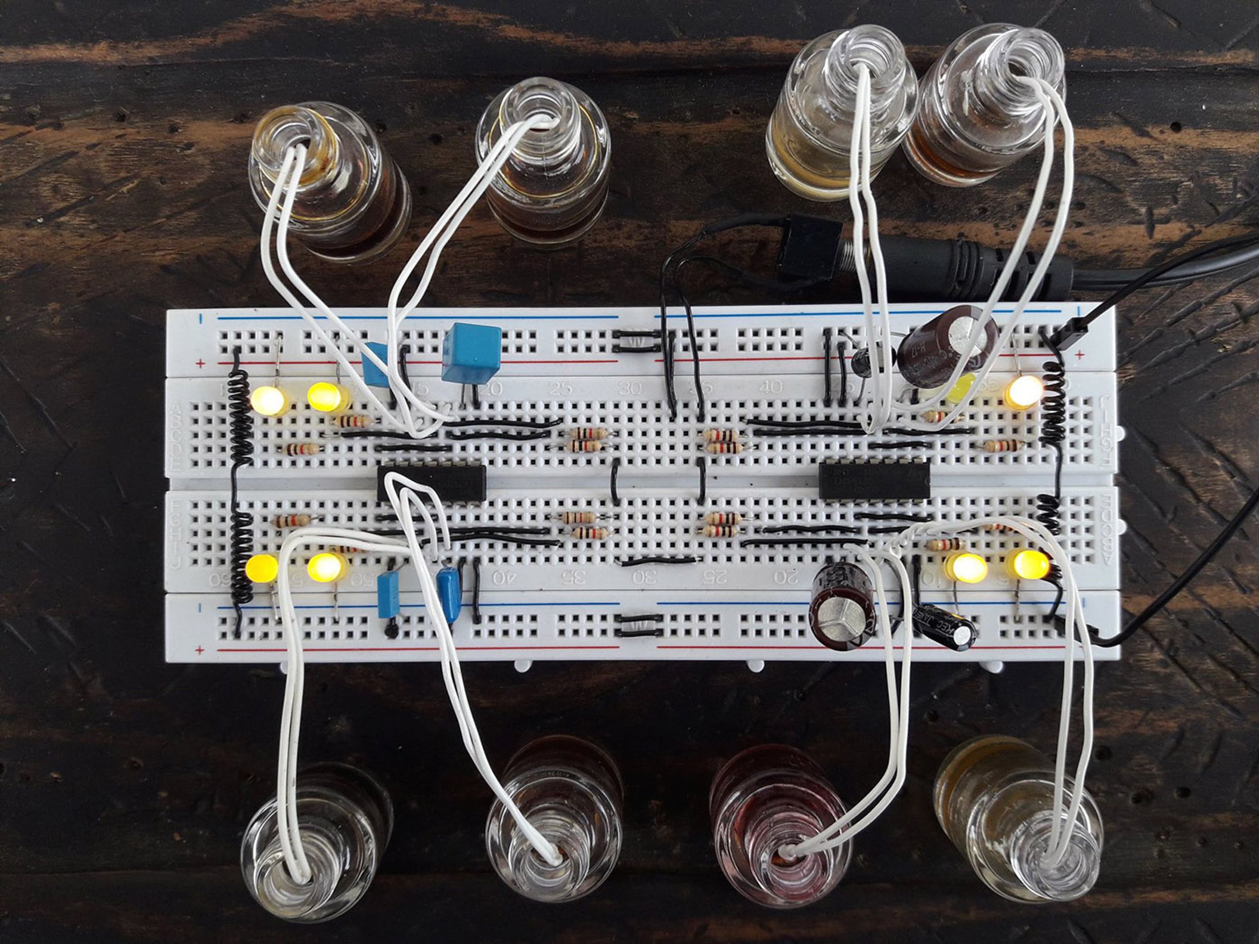 Oscilador Fitológico (Phytological Oscillator). Photo: Negalê Jones. Courtesy of the artist.