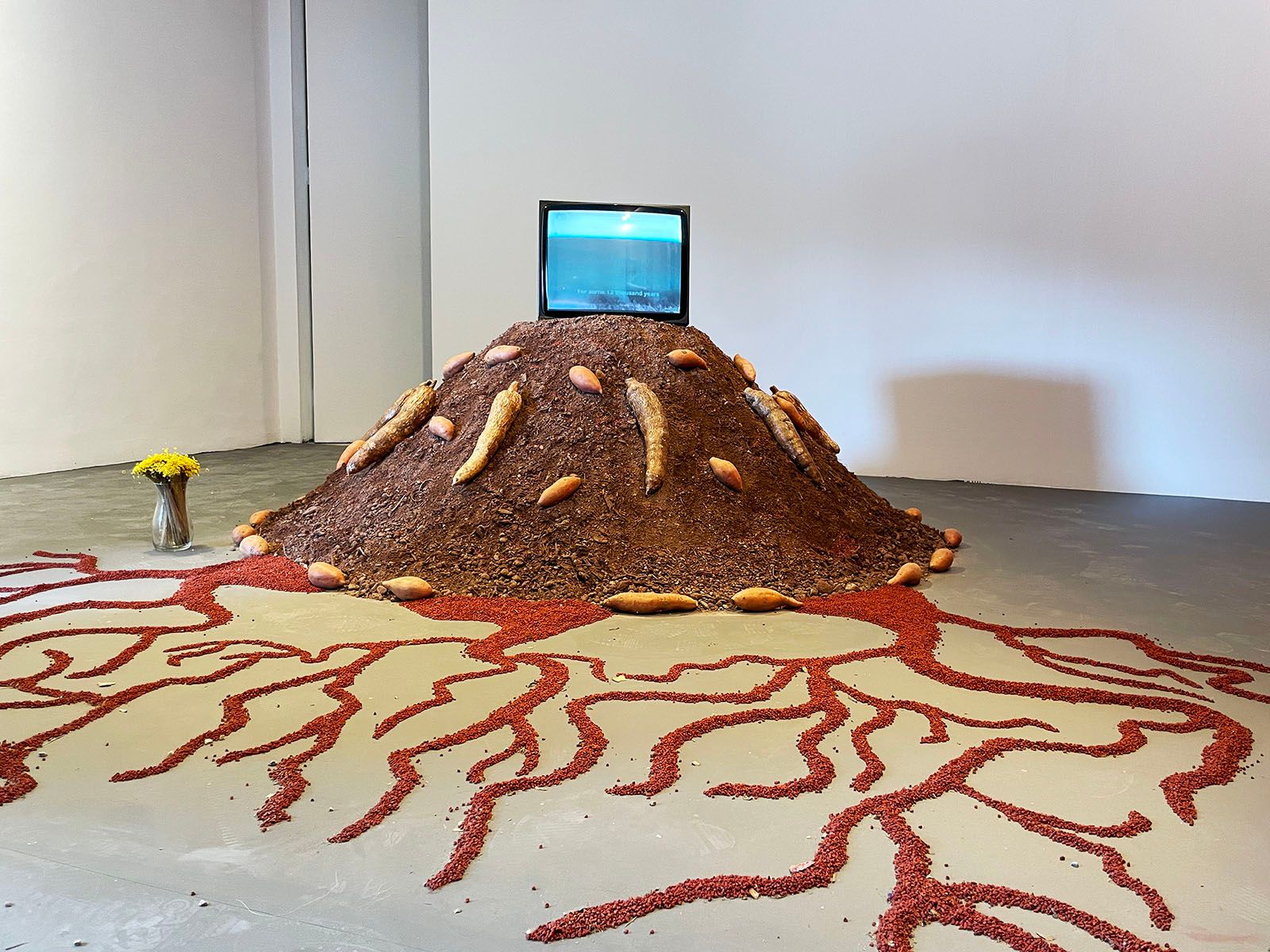 Glicéria Tupinambá, Hãhãwpuá Pavilion (Brazil) at the 60th Venice Biennale Foreigners Everywhere. Photo: C&amp;AL