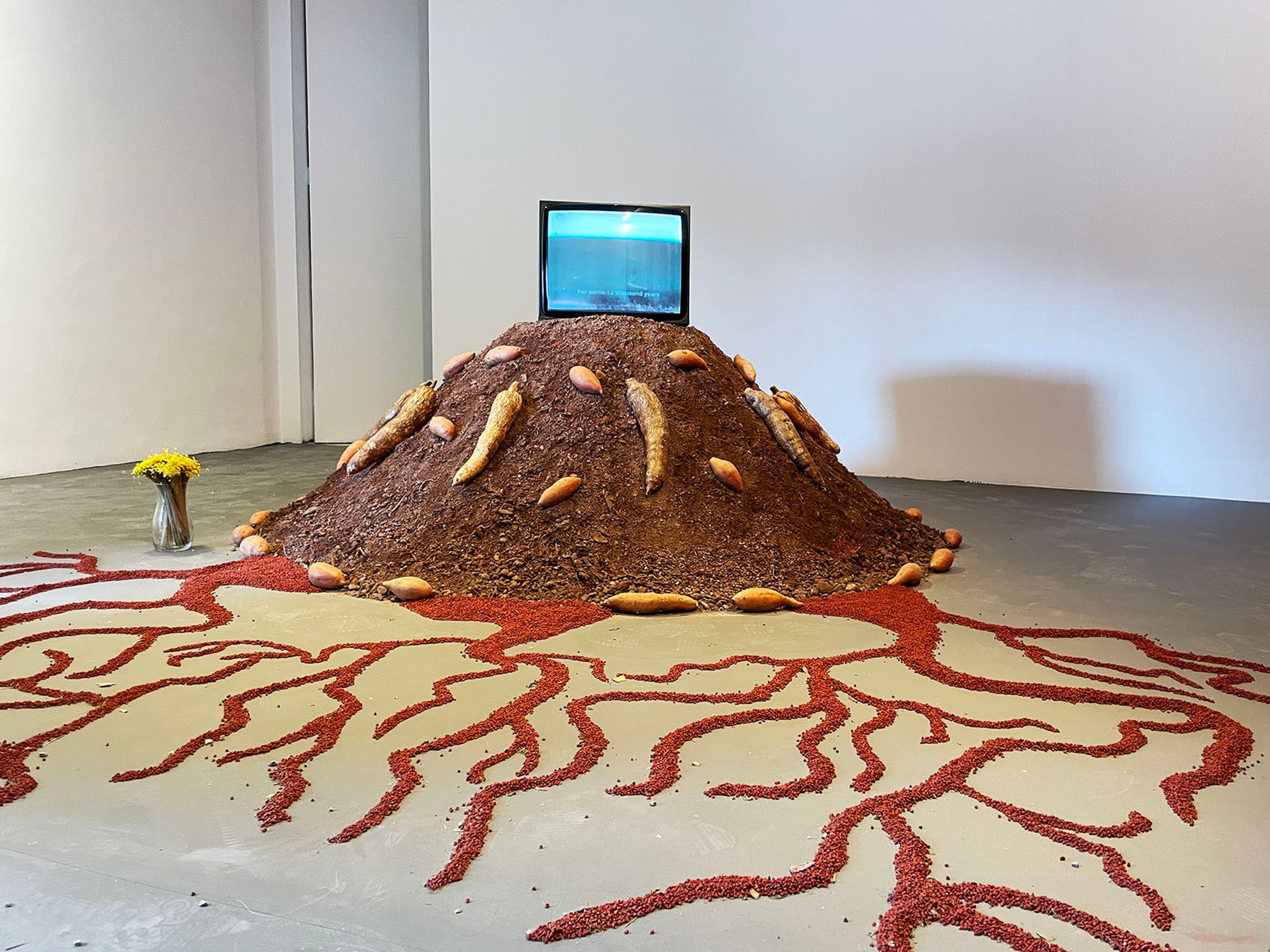 Glicéria Tupinambá, Hãhãwpuá Pavilion (Brazil) at the 60th Venice Biennale Foreigners Everywhere. Photo: C&AL