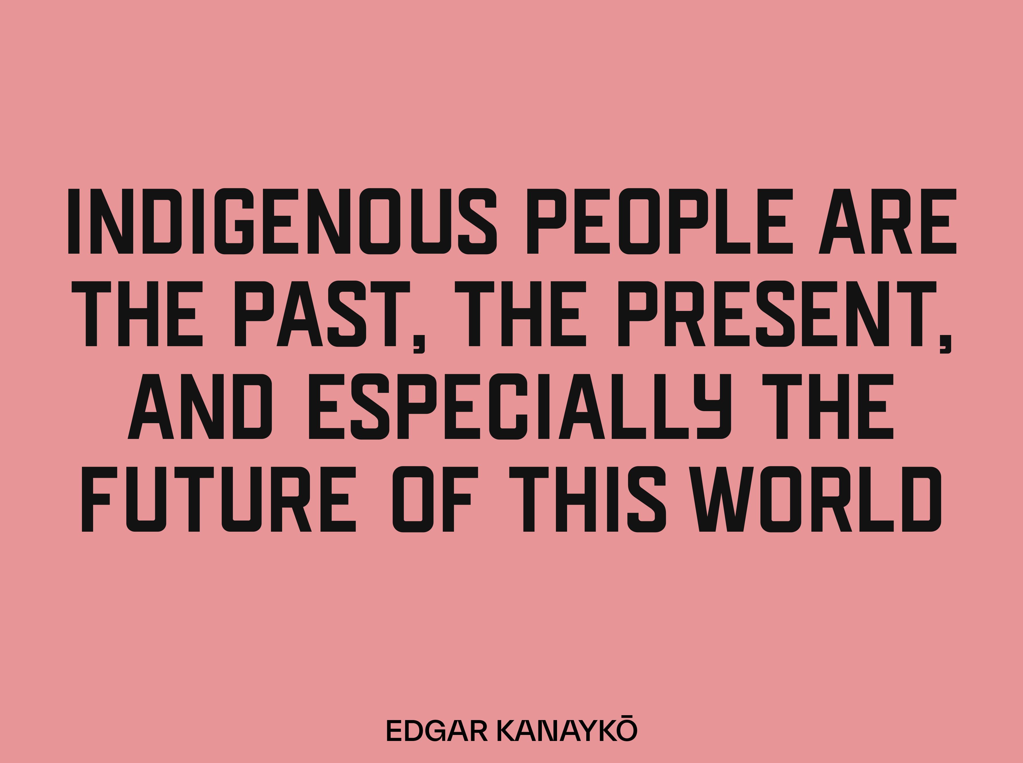 Ecologies: Image Issue