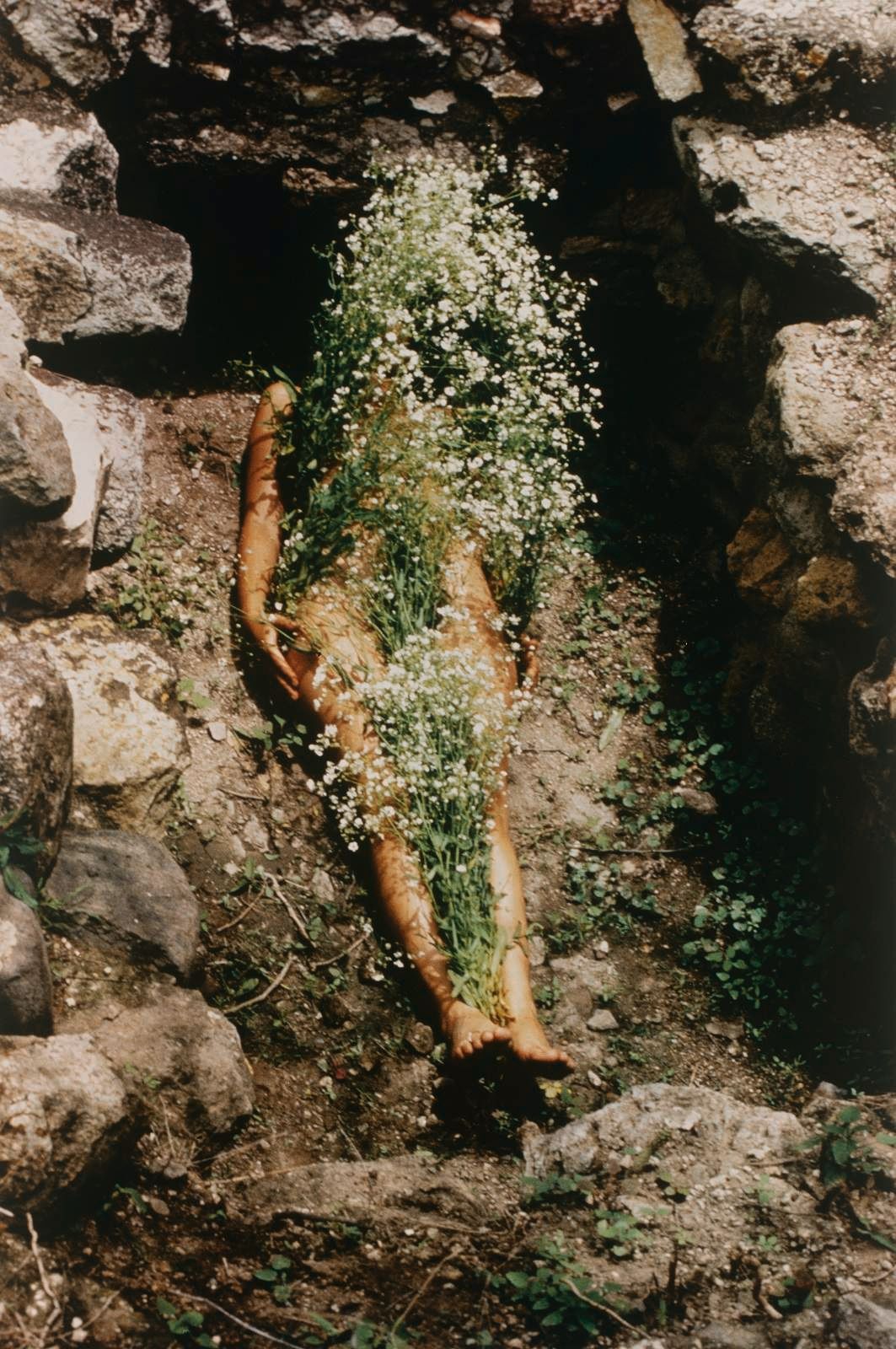 A body covered in white flowers lies on rocky ground.