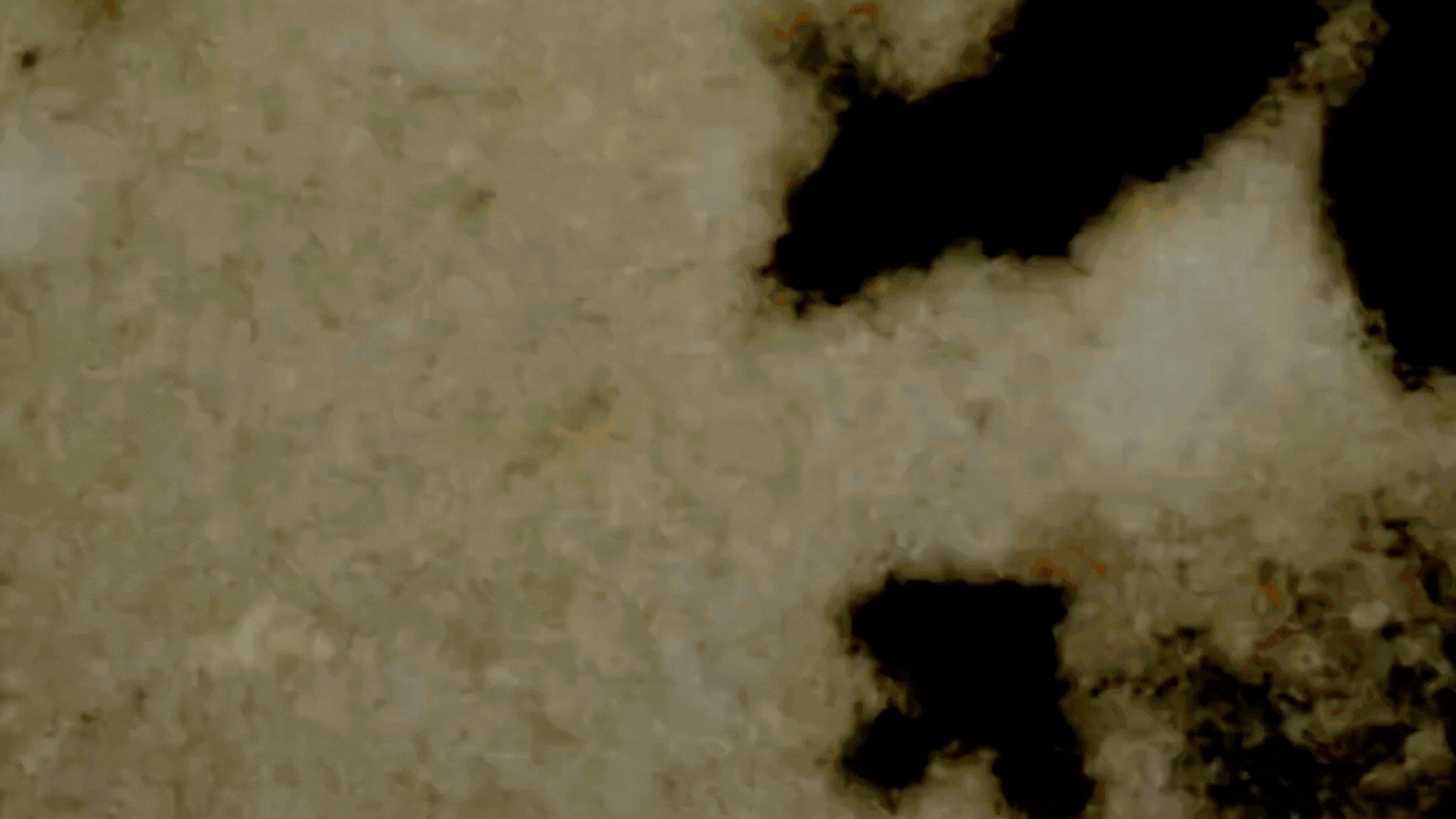 Mottled light brown and black stone texture.