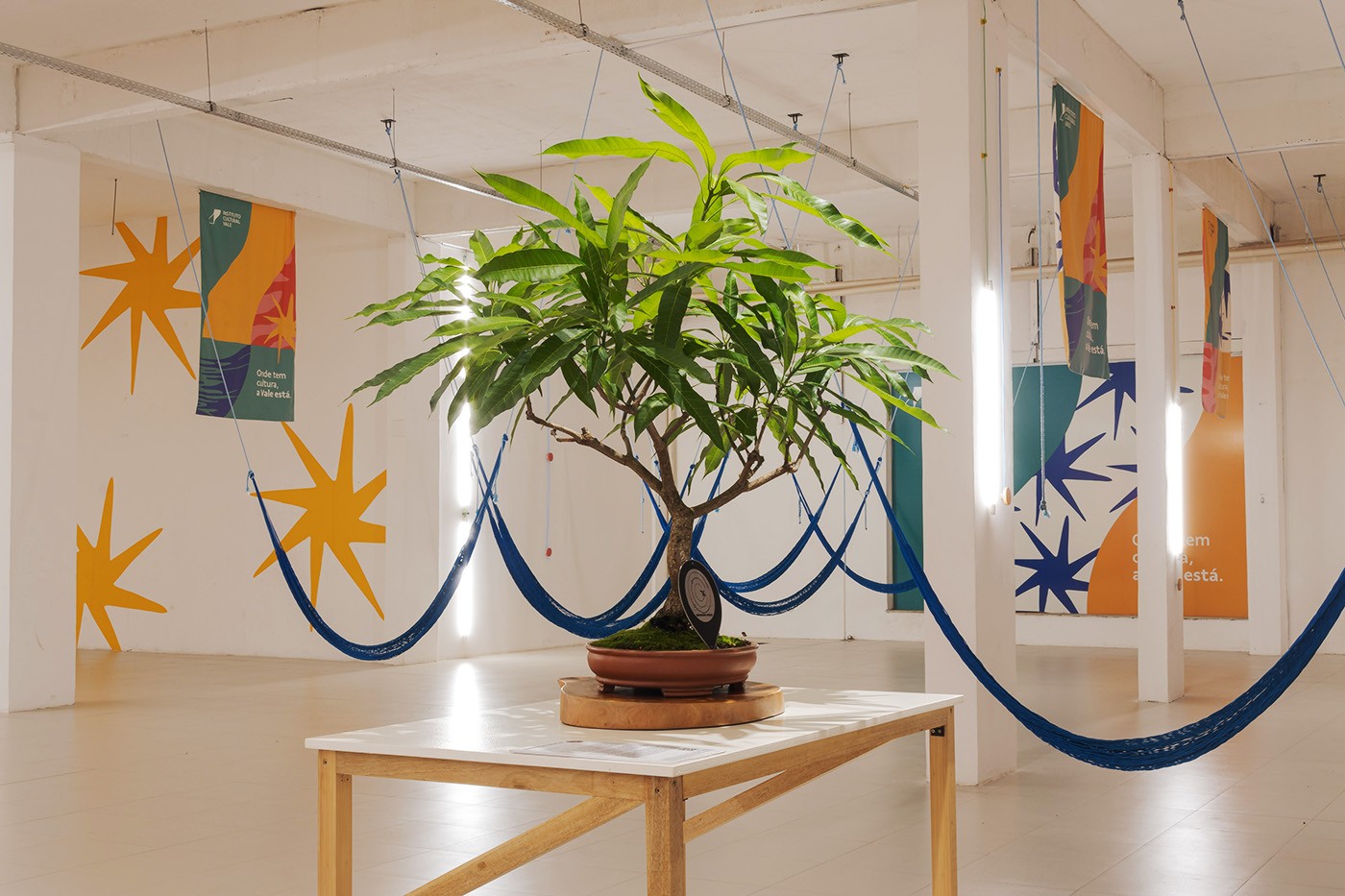 Collection of the 1st Amazon Biennial. Production Assistant: Nayane Menezes. Photo: Chico Atanásio and Lucas Santana/Rede Moinho.