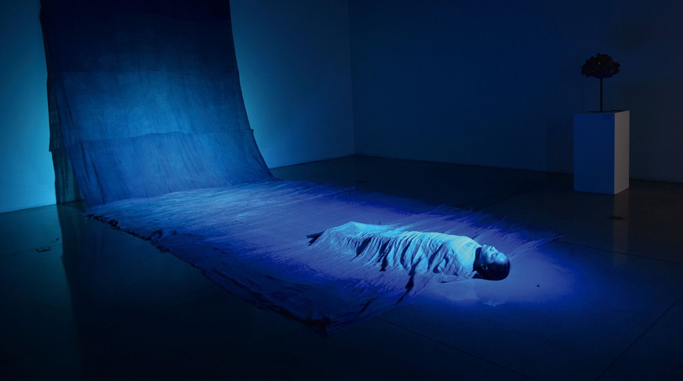 Indigo Dye: A Shared Language in the Global South