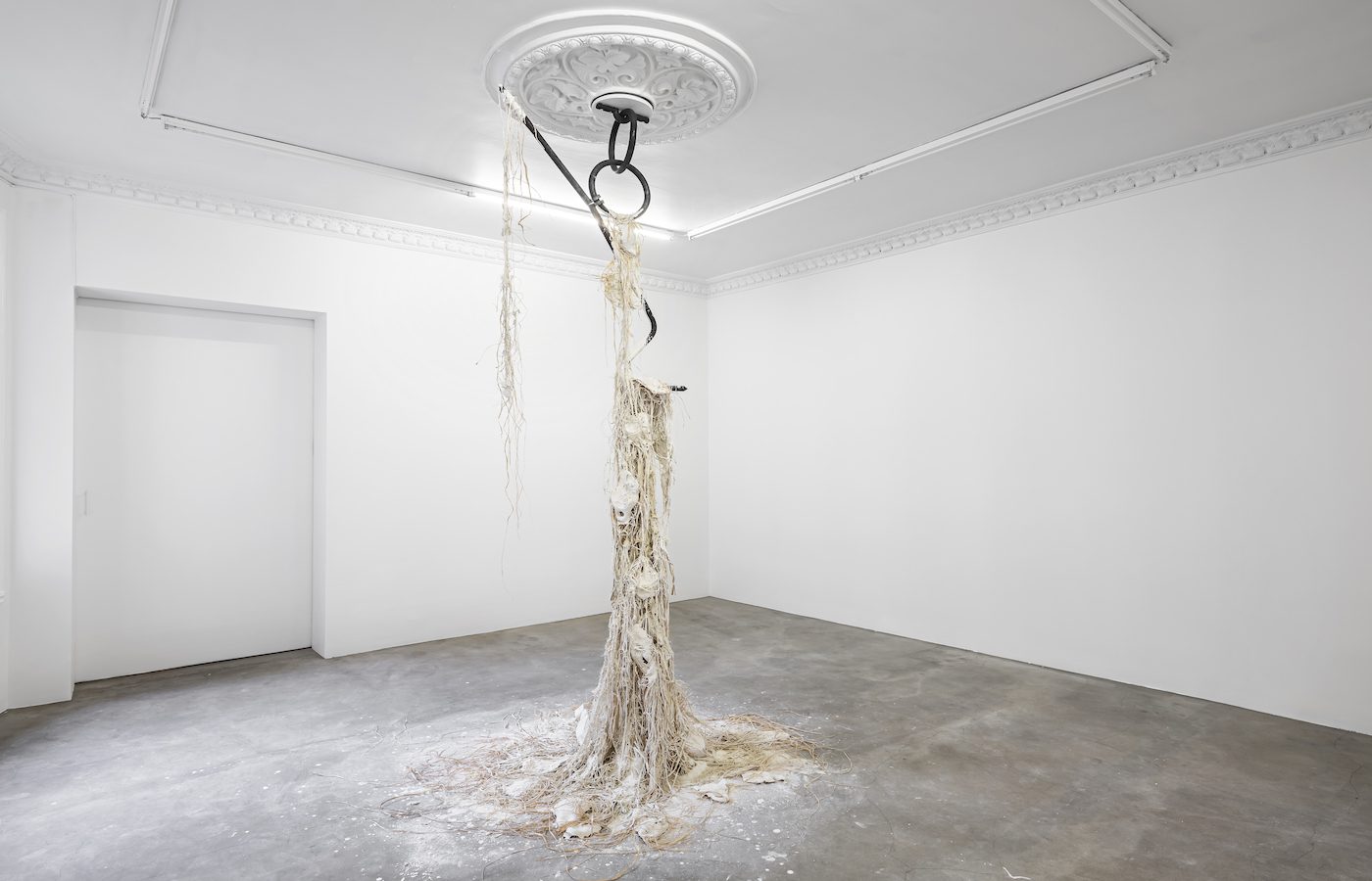 Dominique White: Commission Series