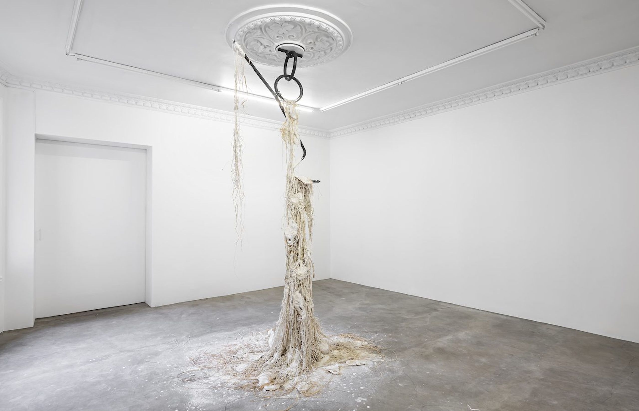 Dominique White: Commission Series