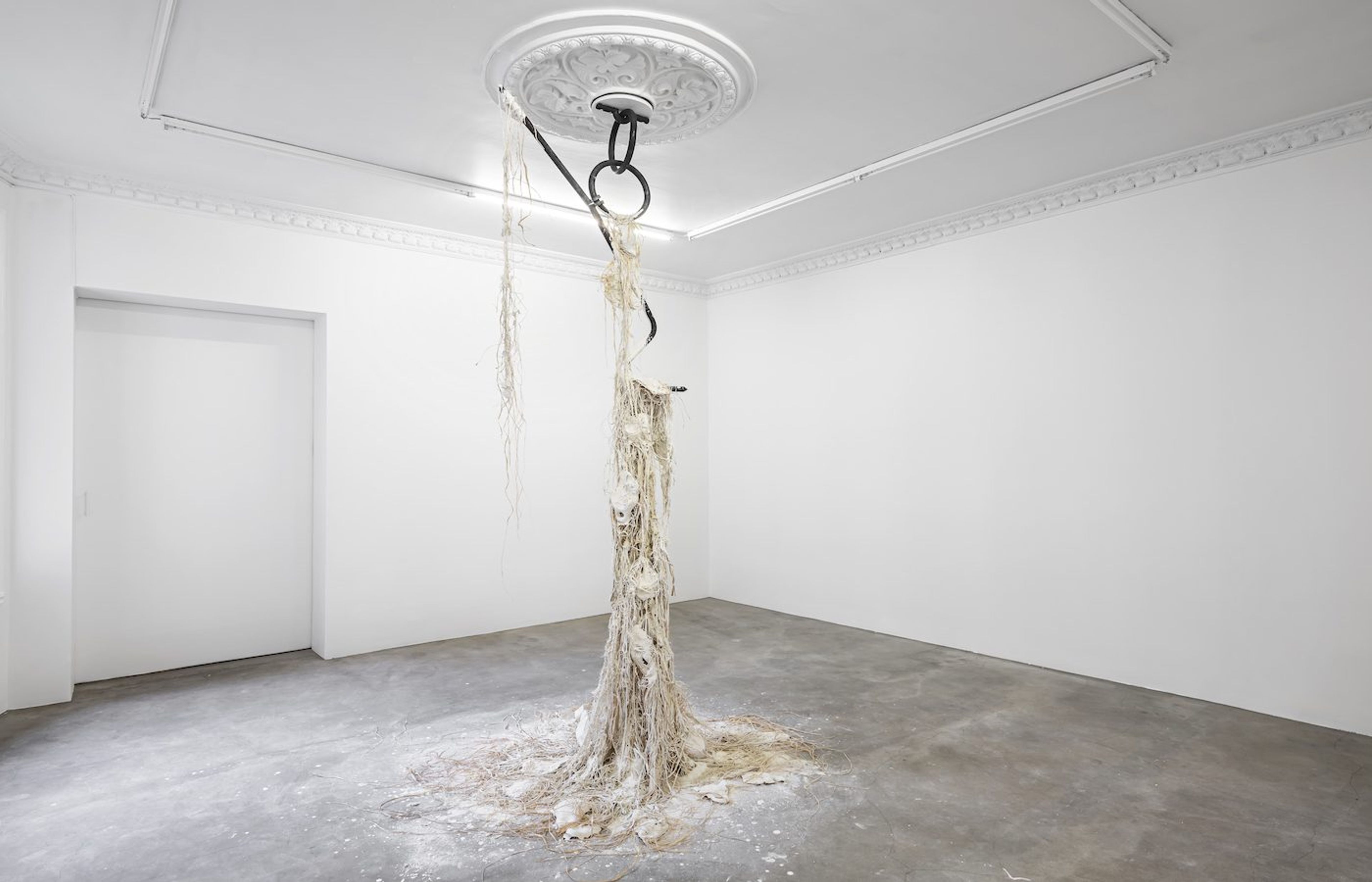 Dominique White: Commission Series
