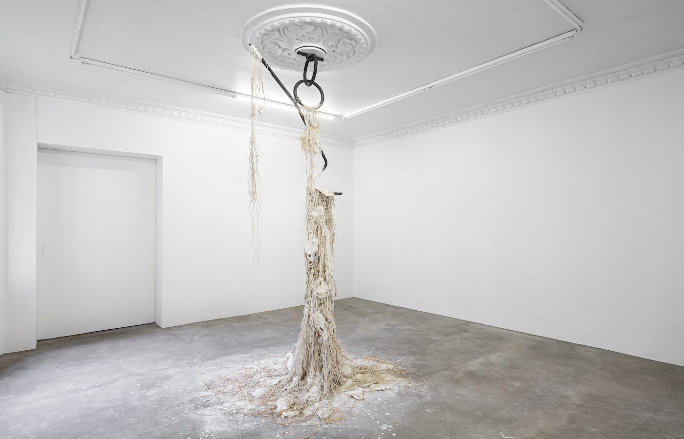 Dominique White: Commission Series