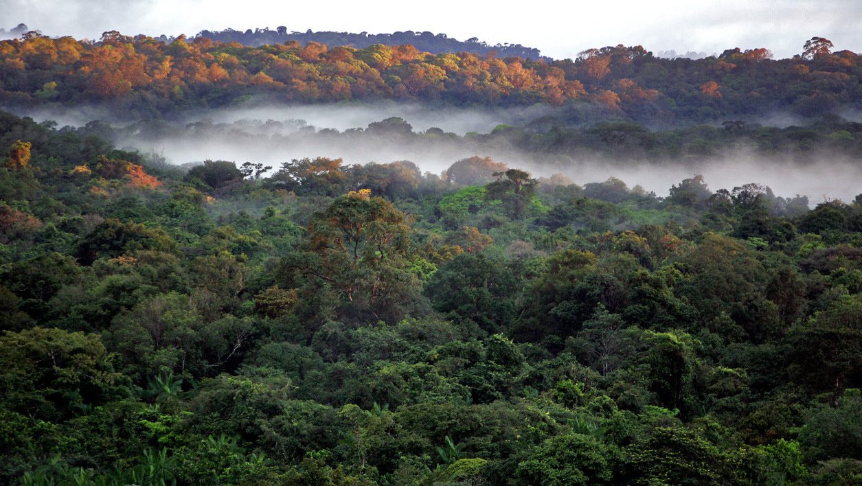 AMAKABA: Online Kundalini Yoga for Immunity with Tabita Rezaire