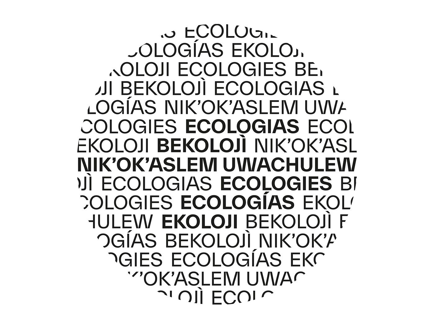 Poetry: Rosa Chávez