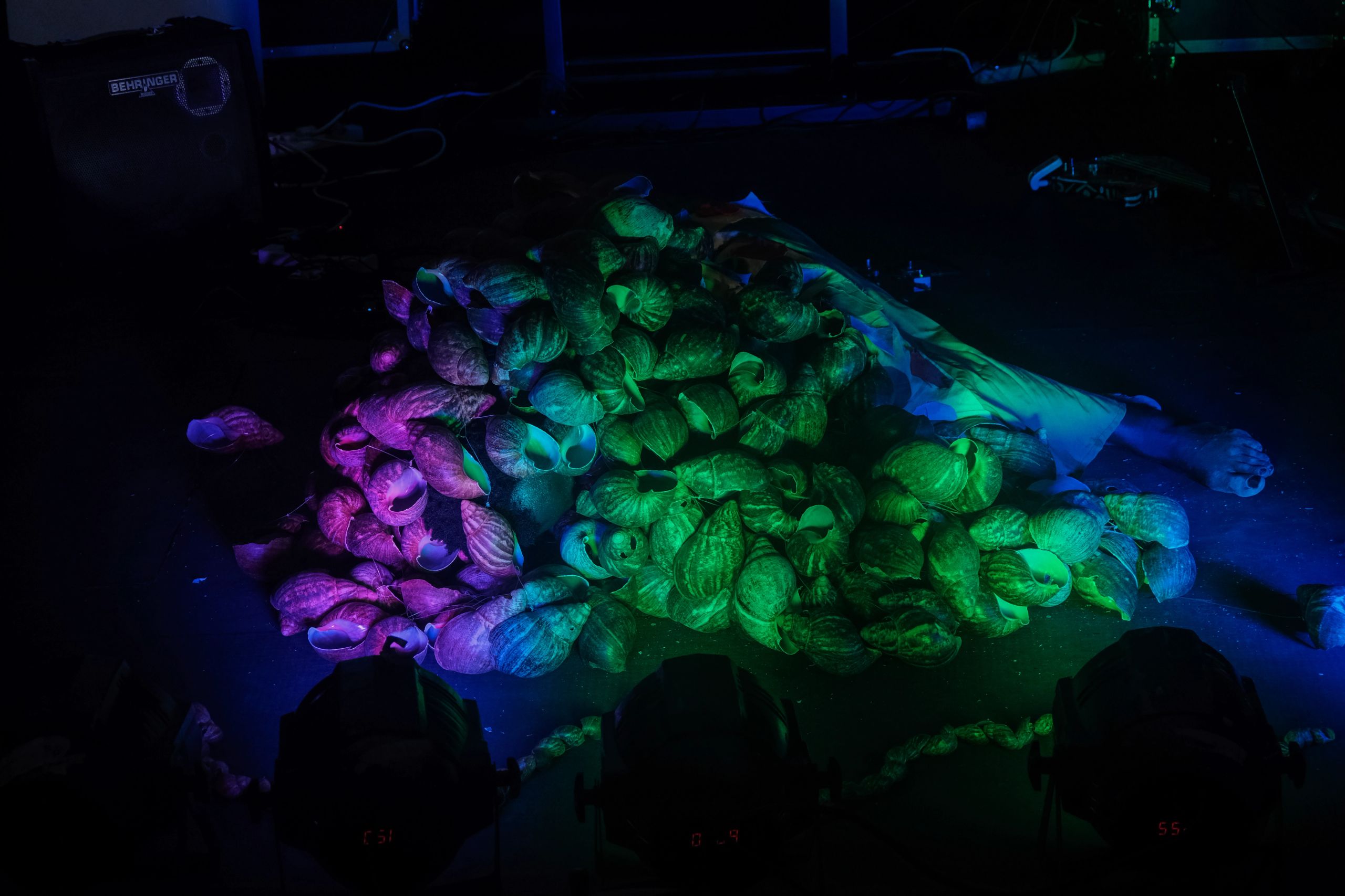 A pile of seashells illuminated by purple and green lights on a dark stage.