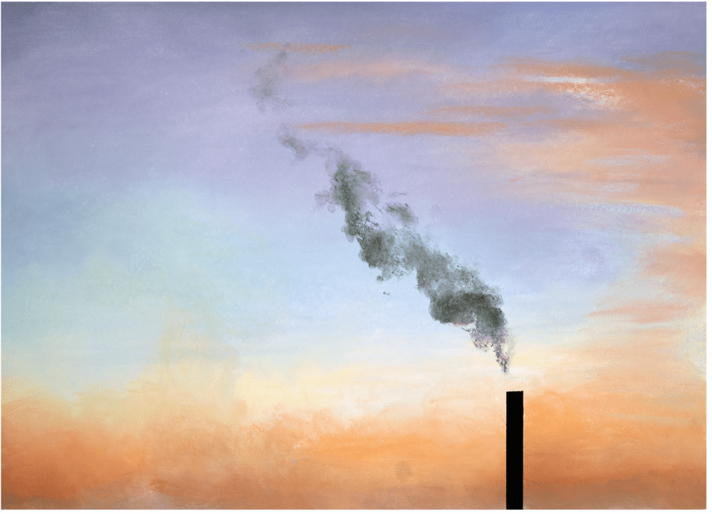 Phoebe Boswell: Still Life: A Taxonomy of Being