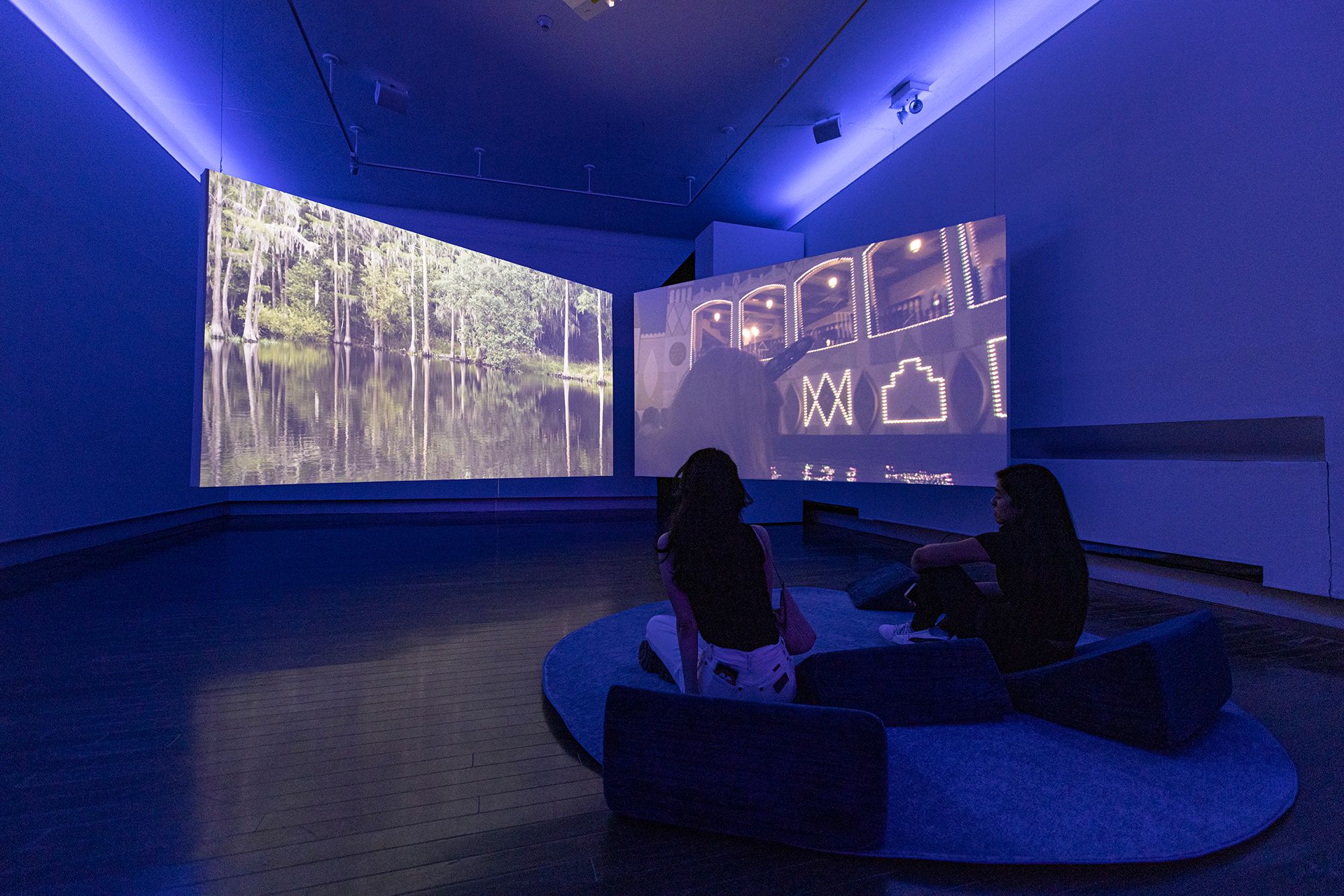 Foreign in a Domestic Sense