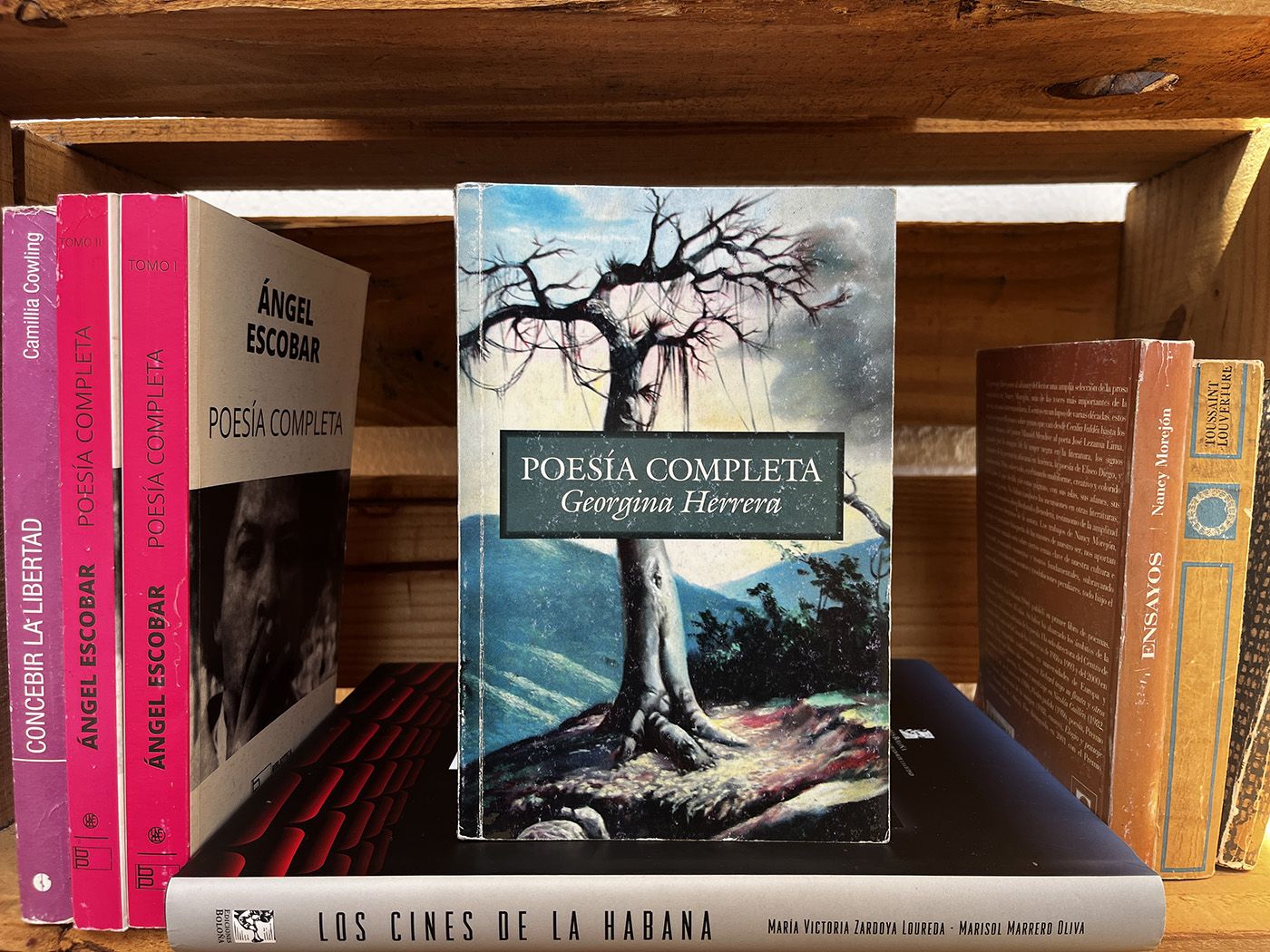 POESÍA COMPLETA, by Georgina Herrera (Habana, 2016). Photo: Mónica María Oberschelp Garabito