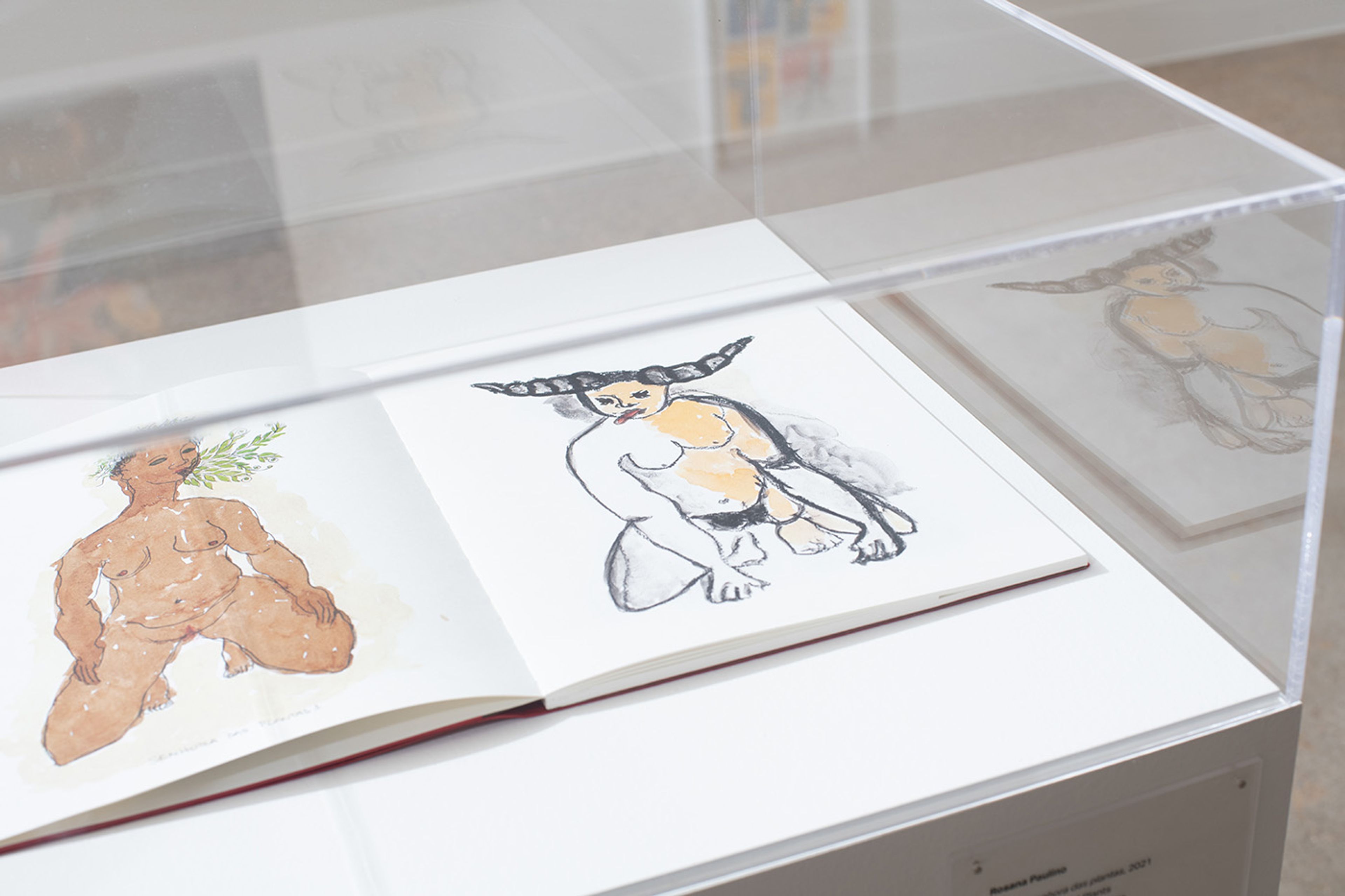 Rosana Paulino, Búfala e senhora das plantas [Buffalo and Lady of Plants], 2021 (detail). Offset artist book. 11 7/16 x 9 1/16 x 5/16 in. (29 x 23 x 0.8 cm. Social Fabric: Art and Activism in Contemporary Brazil, installation view, Visual Arts Center, The University of Texas at Austin, September 23, 2022 – March 10, 2023. Photo: Sandy Carson