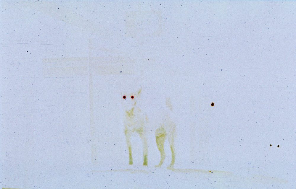 Lydia Ourahmane and Alex Ayed: Laws of Confusion