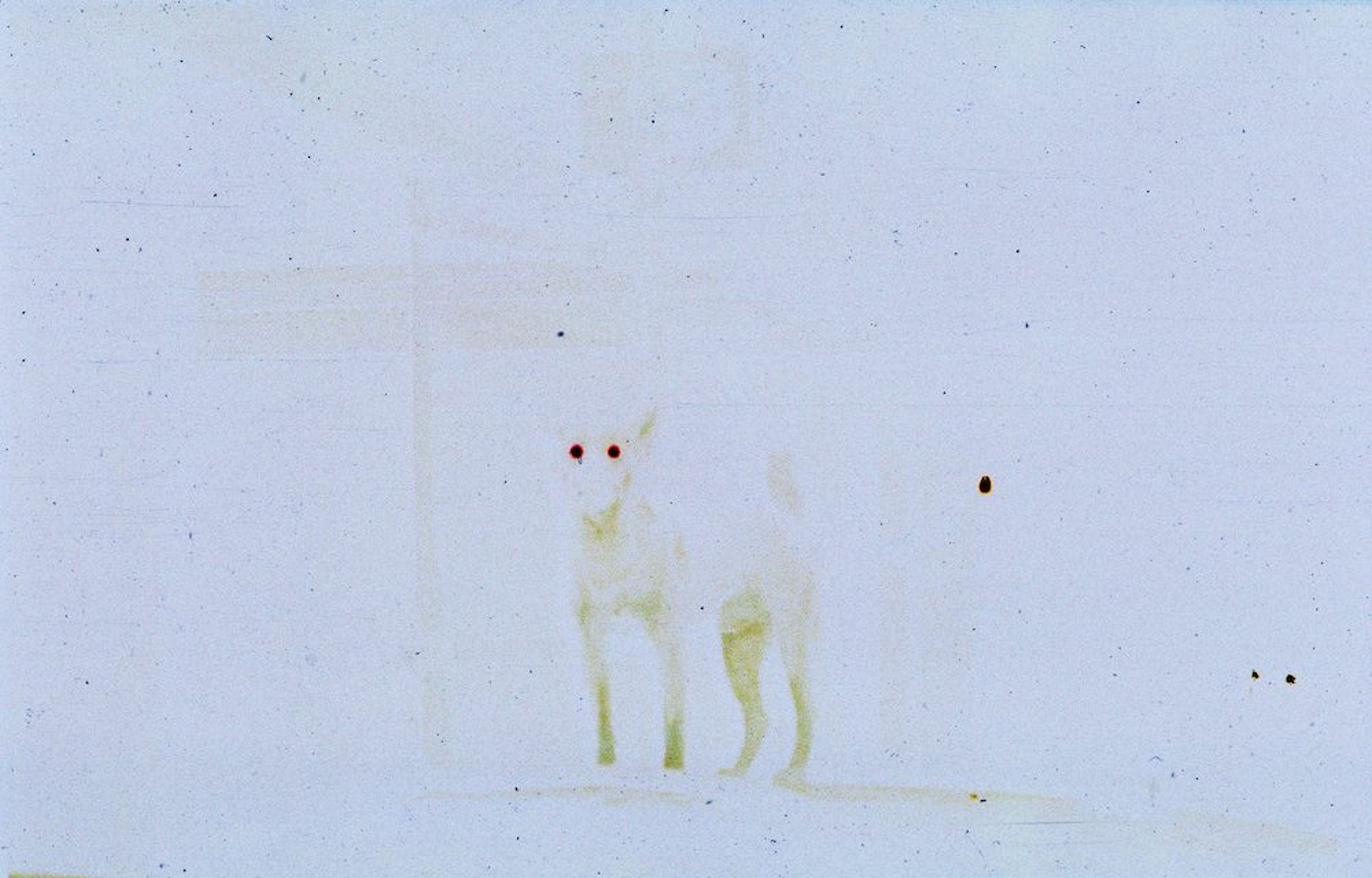Lydia Ourahmane and Alex Ayed: Laws of Confusion