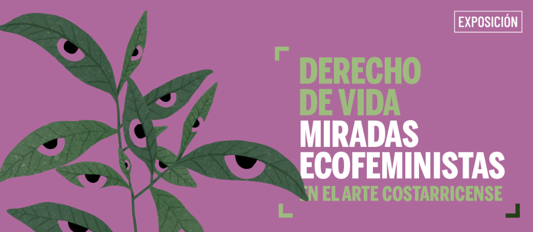 Derecho de vida: Miradas ecofeministas en el arte costarricense