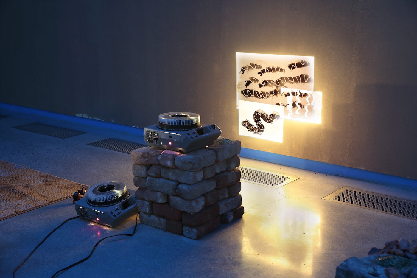 Dineo Seshee Bopape, Installation view. Courtesy of the artist and the Institute for Contemporary Art at VCU.