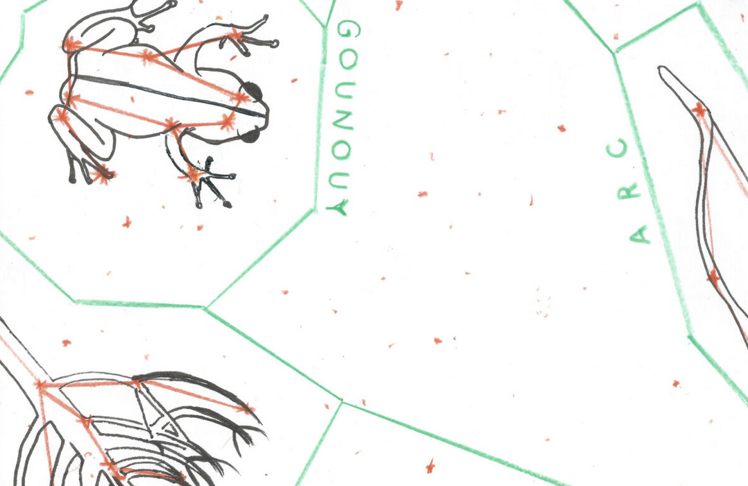 the sky with root-eyed