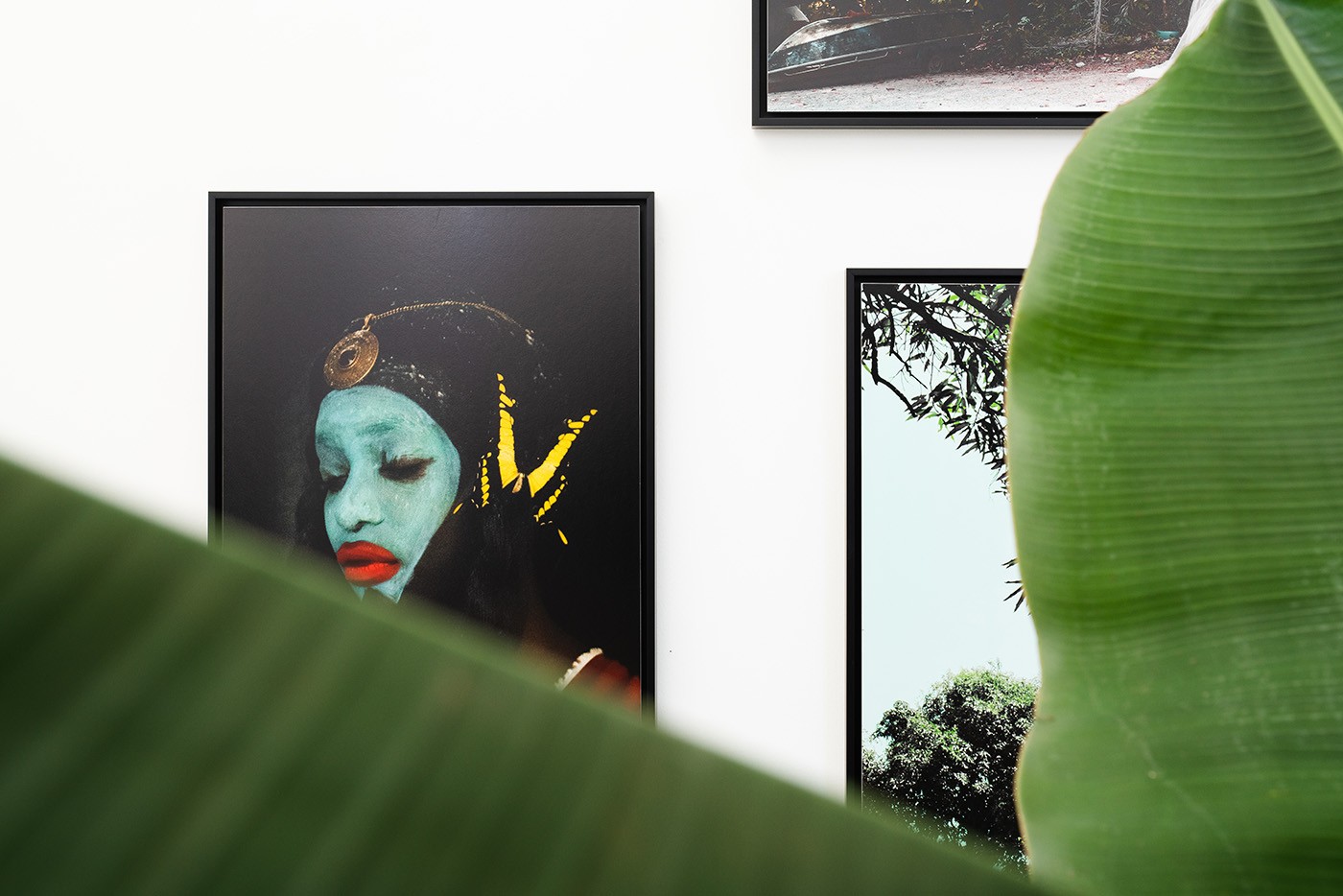 Lisandro Suriel, Black Magic, 60x90 cm, 2013. Photo: Sacha Di Poi.