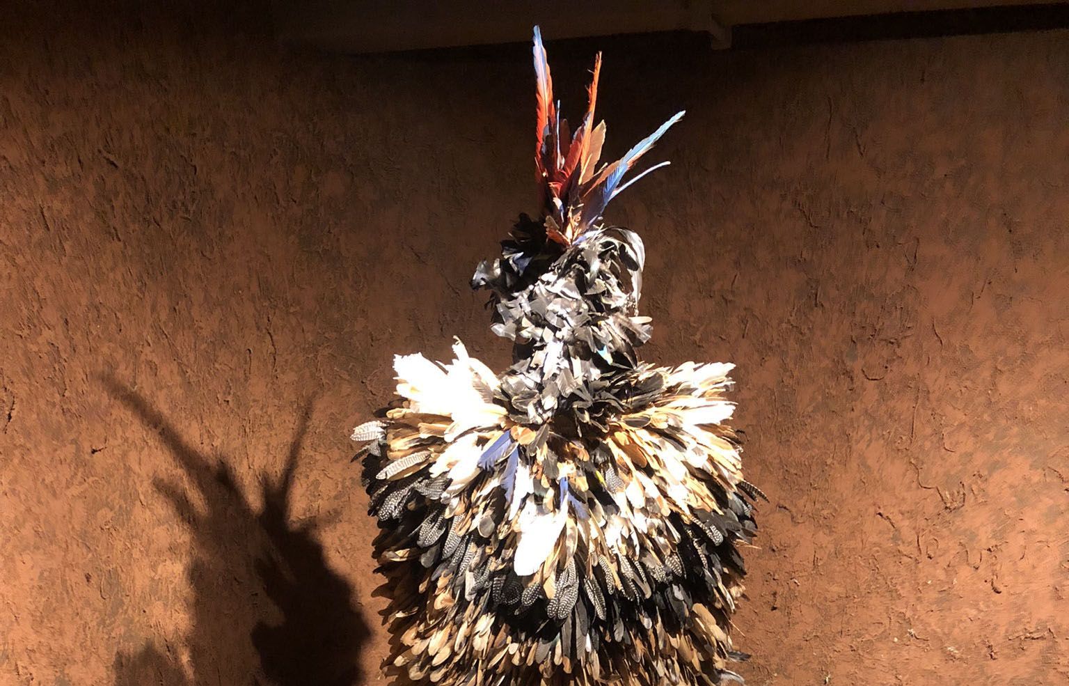 The Return of the Tupinambá Cloak: Restitution and Internal Colonialism