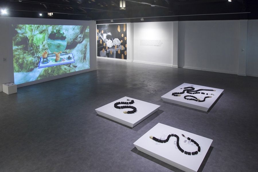 Mesotrópicos. Ficciones transitorias y tempestades afectivas