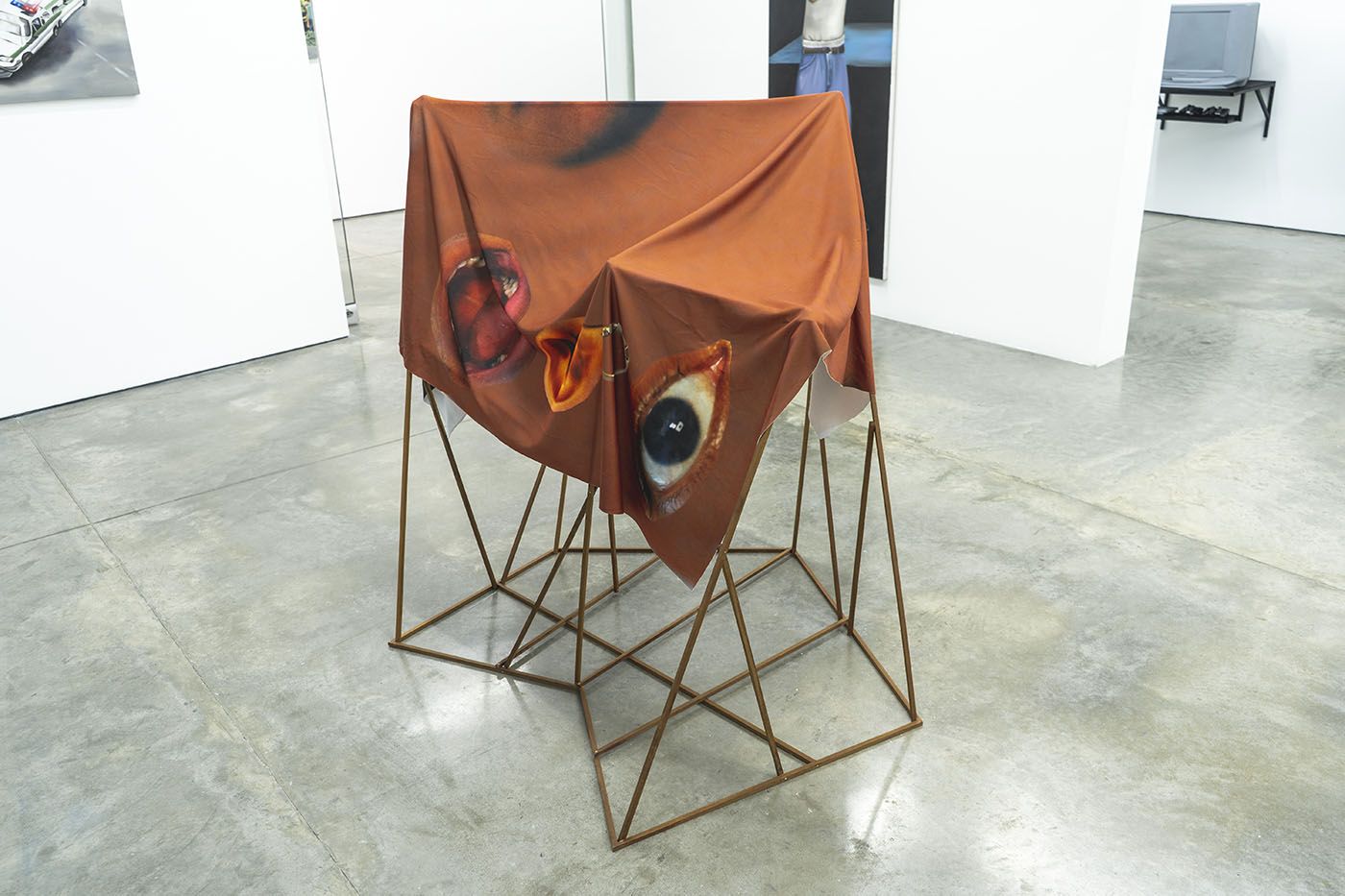 Johan Samboni, Essay on Gangs, Video Games, the Internet, and Palm Trees, exhibition at Program C. Courtesy of MAMM. Photo: juevesdoce