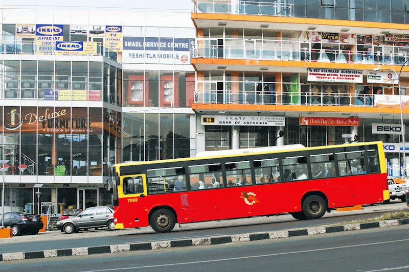 Cosmopolis #1: Collective Intelligence