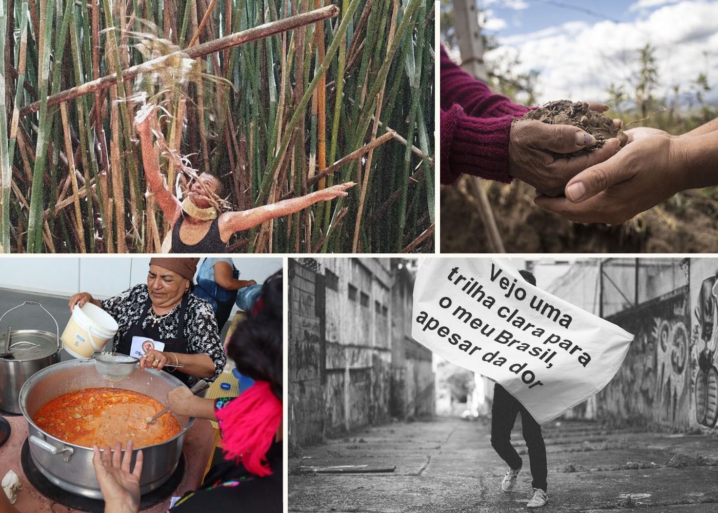 C&AL’s Highlights of 2023 You Might Have Missed