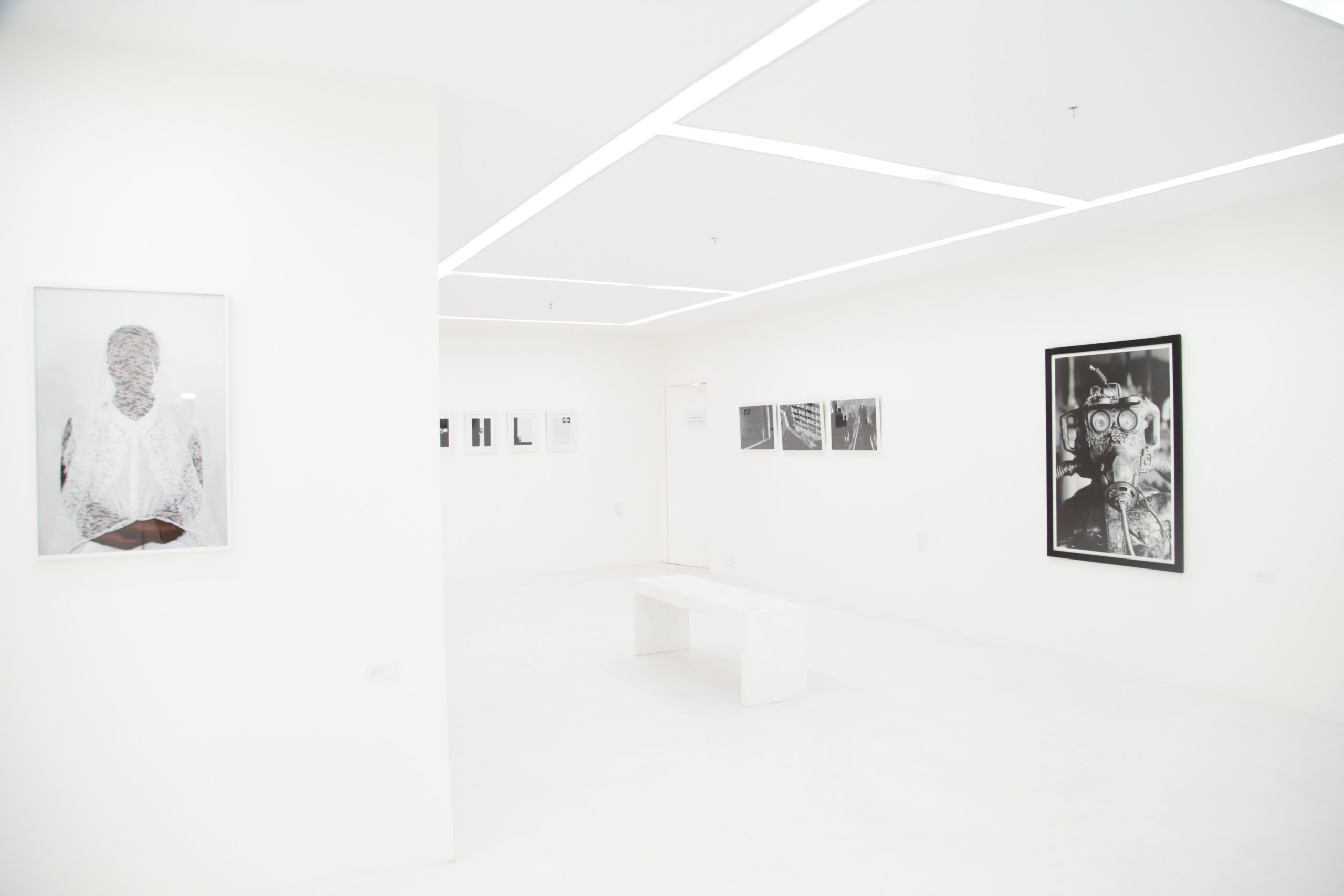 Exploring New Ideas in Photography - Contemporary And