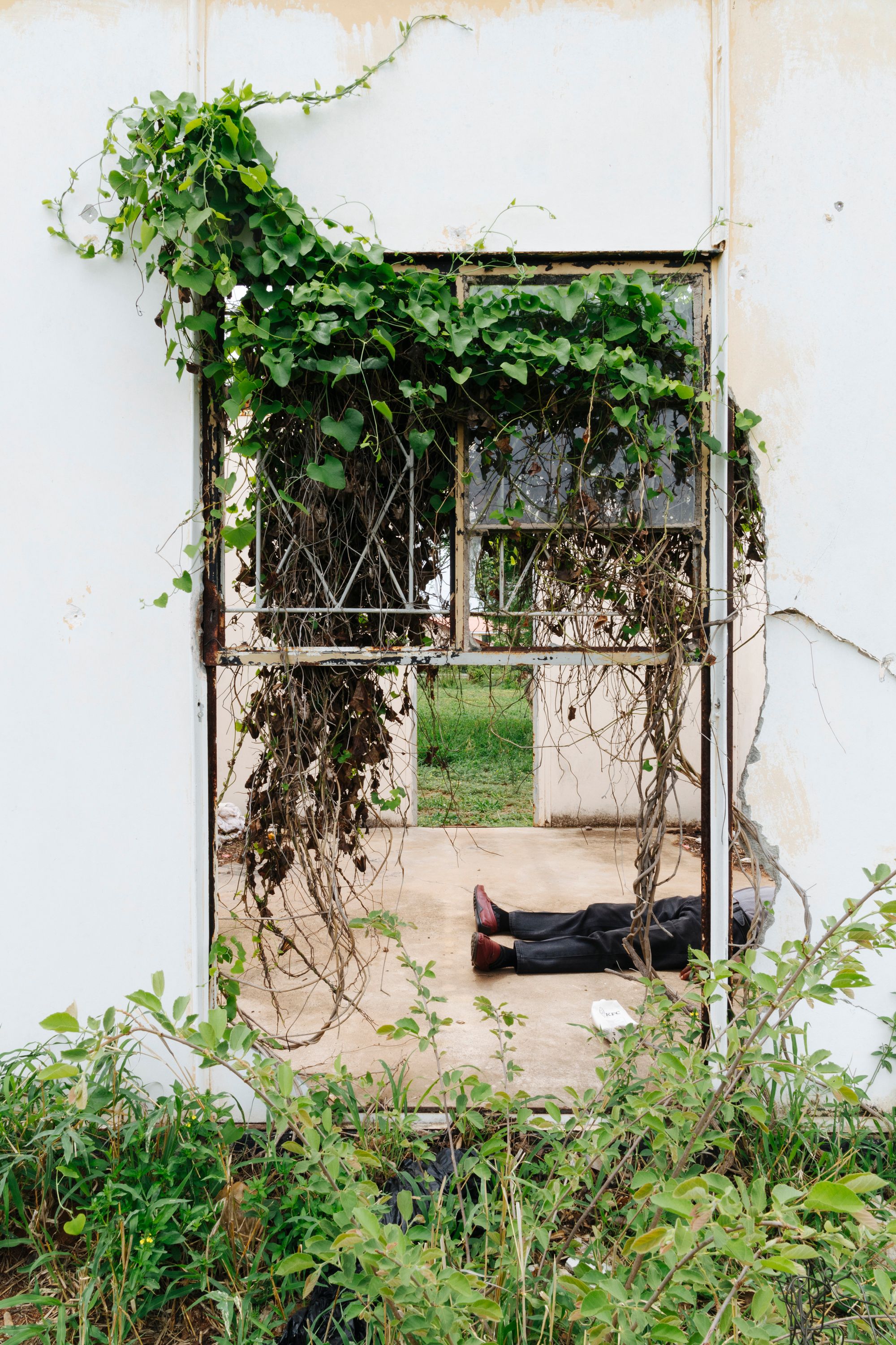A person in dark pants and red shoes lies on the floor inside a dilapidated building, whose large window opening is overgrown with green vines.