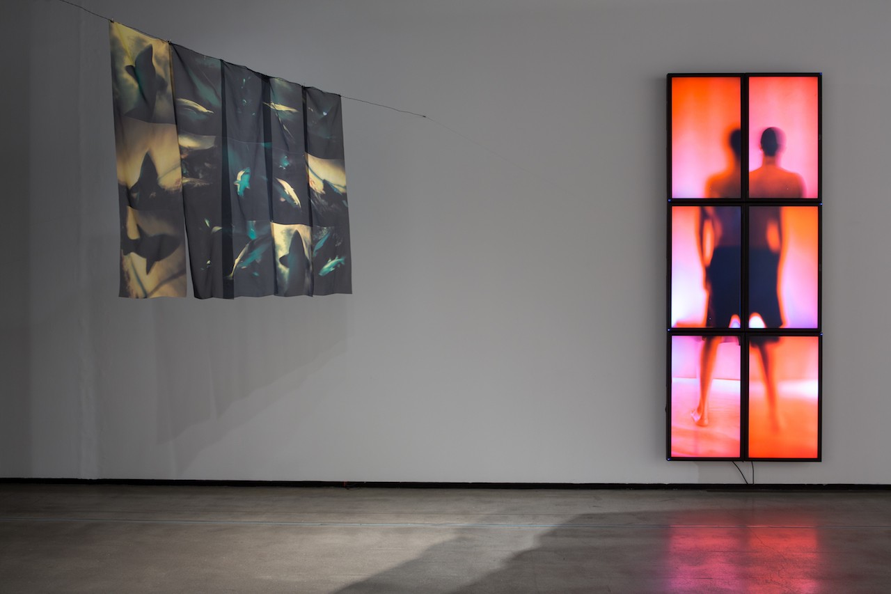 Maré Vermelha, 2017 Video installation. Artist's collection