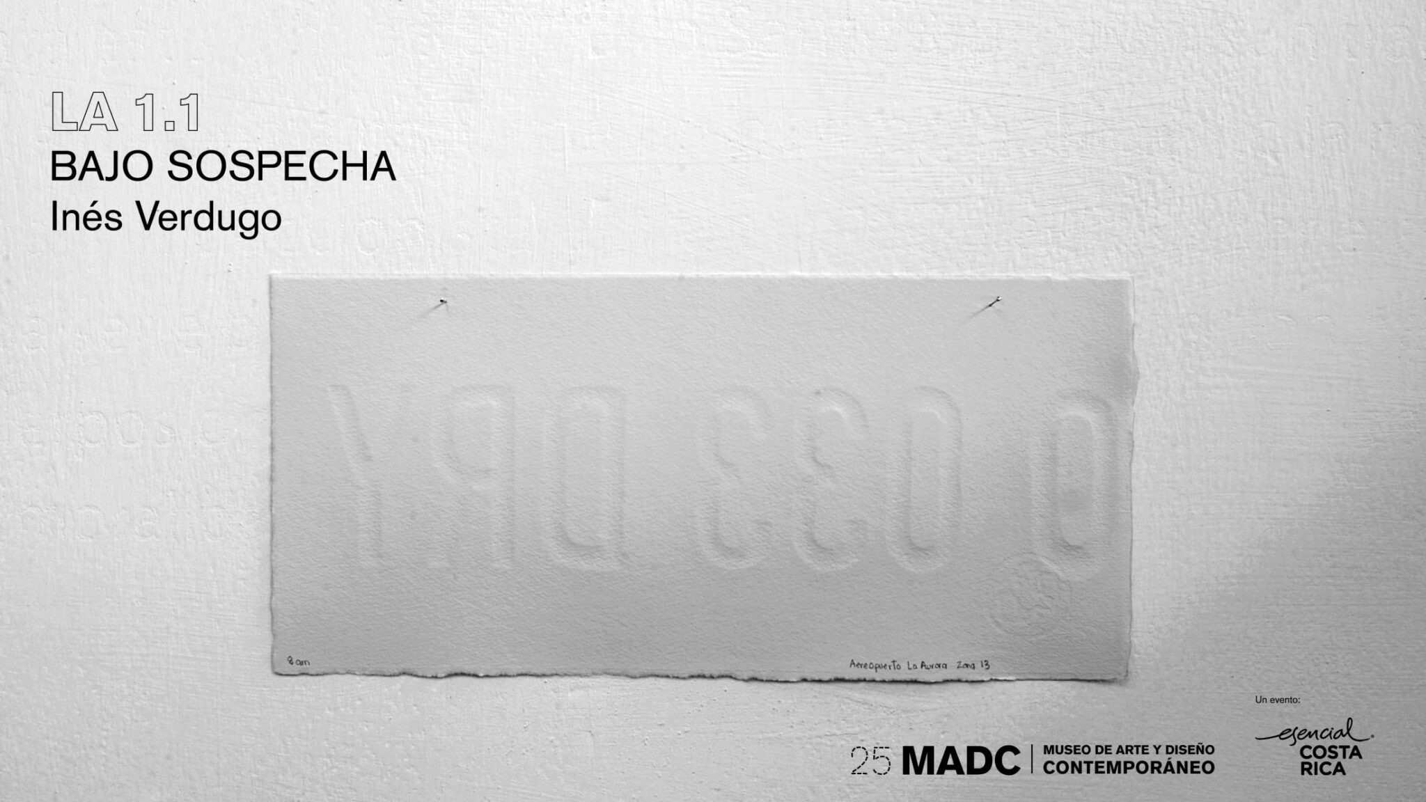 Bajo Sospecha - Inés Verdugo