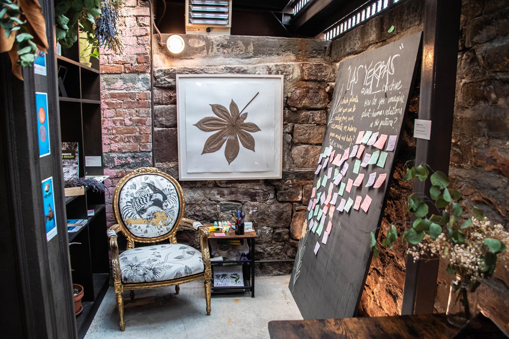 “Las Yerbas” Apothecary